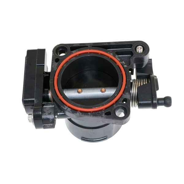 TIANLONGMAOYI Throttle Body Valve Polished-5