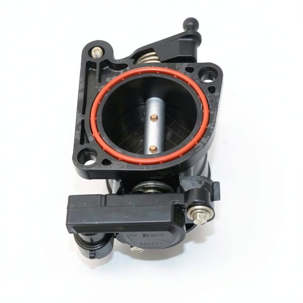 TIANLONGMAOYI Throttle Body Valve Polished-6