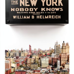 Princeton University Press Kindle Book Urban Sociology-0