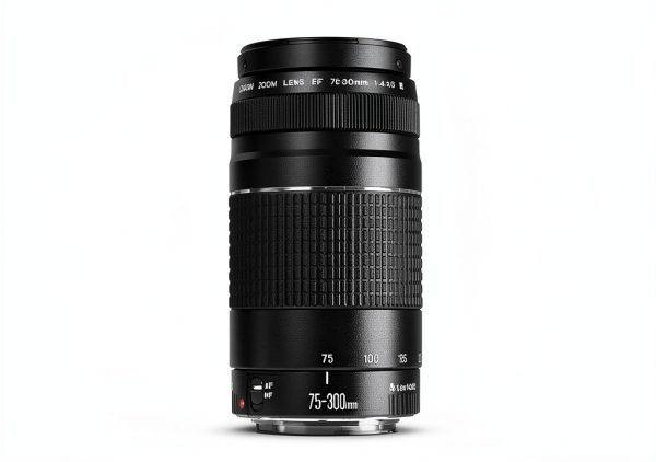 Canon EOS 2000D DSLR Camera with 18-55mm & 75-300mm Lenses, Tripod-3